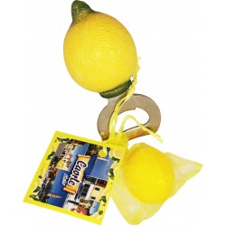 Aprobottiglie limone con sacc.1sapone limone cartoncino personalizzabile conf. cellophane